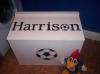 RNR Wood Products 2ft Toy Boxes - Almost Any Colour - Named Lid - Sturdy Build